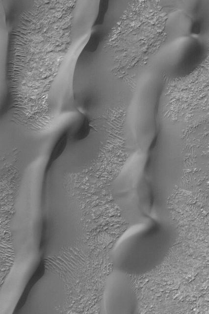 NASA image: Windblown Sand Dunes