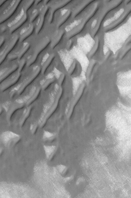 South Polar Sand Dunes