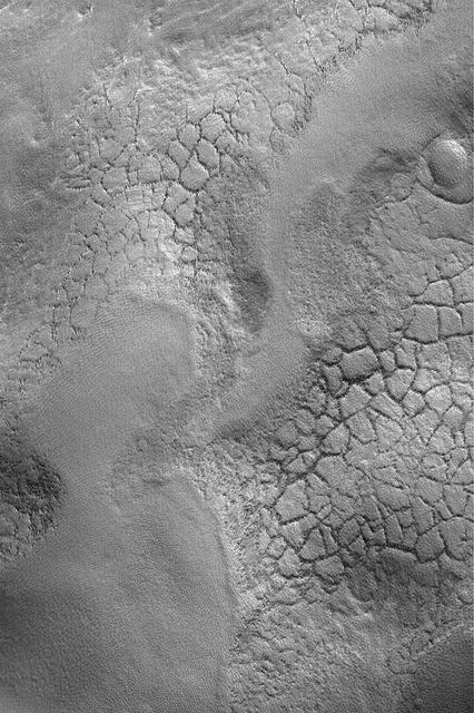 NASA image: Polygons near Lyot Crater
