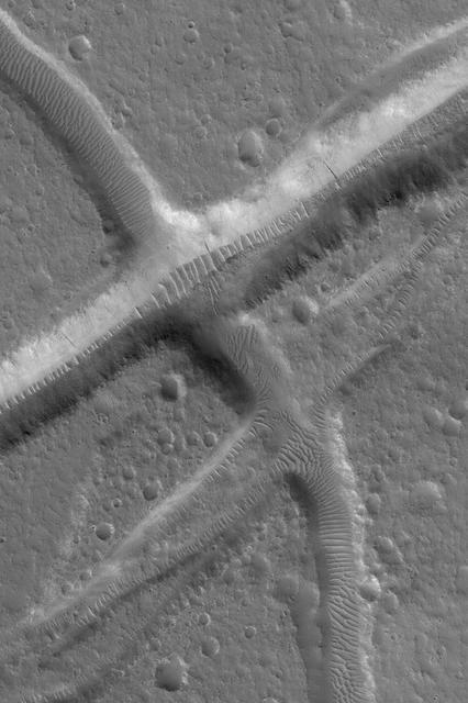 NASA image: Troughs in Tempe Terra