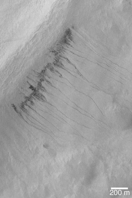 Gullies in Crater in Hellas