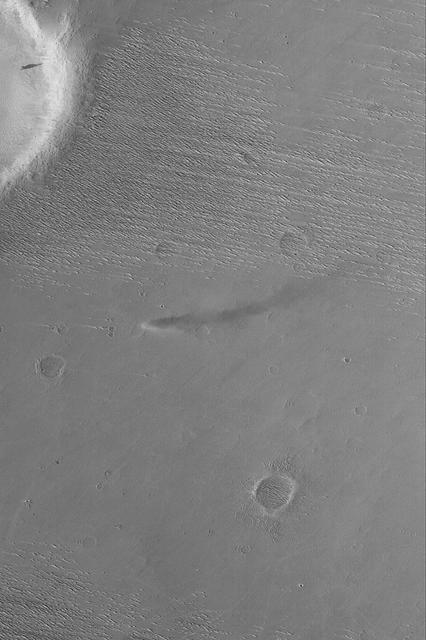 NASA image: Daedalia Dust Devil
