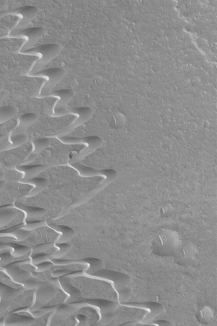 Syrtis Major Dune Field