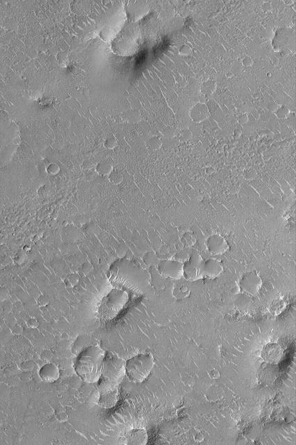 Isidis Planitia