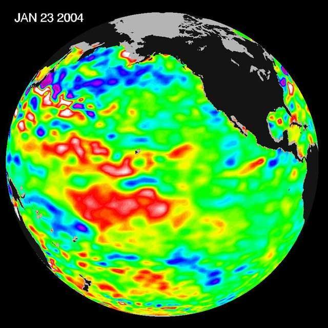 The latest remote sensing data from NASA's Jason satellite show that the equatorial Pacific sea surface levels are higher, indicating warmer sea surface temperatures in the central and west Pacific Ocean. This pattern has the appearance of La Niña rather than El Niño. This contrasts with the Bering Sea, Gulf of Alaska and U.S. West Coast where lower-than-normal sea surface levels and cool ocean temperatures continue (indicated by blue and purple areas). The image above is a global map of sea surface height, accurate to within 30 millimeters. The image represents data collected and composited over a 10-day period, ending on Jan 23, 2004. The height of the water relates to the temperature of the water. As the ocean warms, its level rises; and as it cools, its level falls. Yellow and red areas indicate where the waters are relatively warmer and have expanded above sea level, green indicates near normal sea level, and blue and purple areas show where the waters are relatively colder and the surface is lower than sea level. The blue areas are between 5 and 13 centimeters (2 and 5 inches) below normal, whereas the purple areas range from 14 to 18 centimeters (6 to 7 inches) below normal. http://photojournal.jpl.nasa.gov/catalog/PIA05071