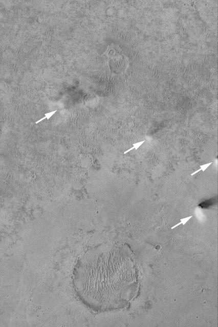 NASA image: Dust Devils Near Schiaparelli