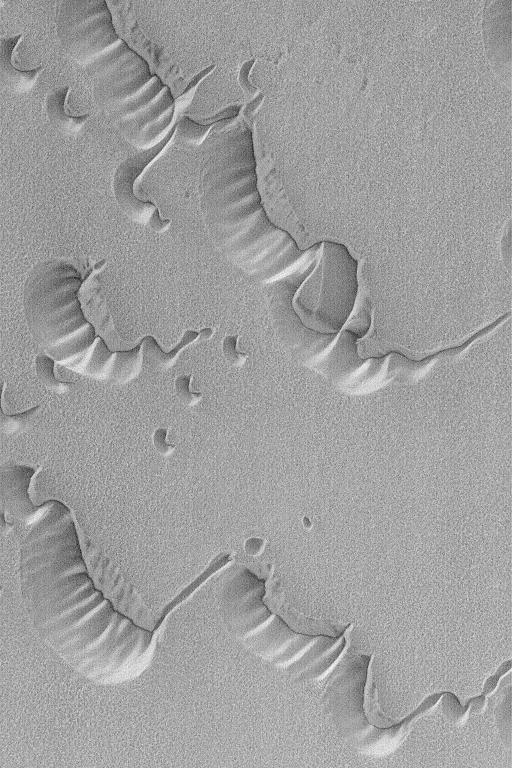 Frosty North Polar Dunes