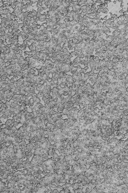 NASA image: Summer South Polar Cap