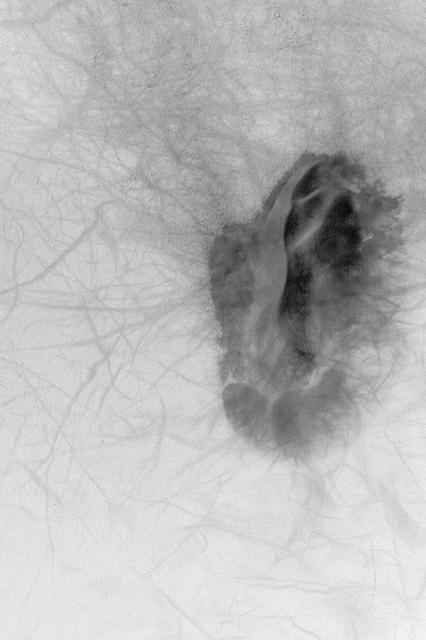 Dune and Dust Devil Tracks