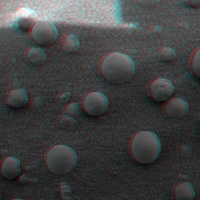 NASA image: Berries on the Ground 2 3-D