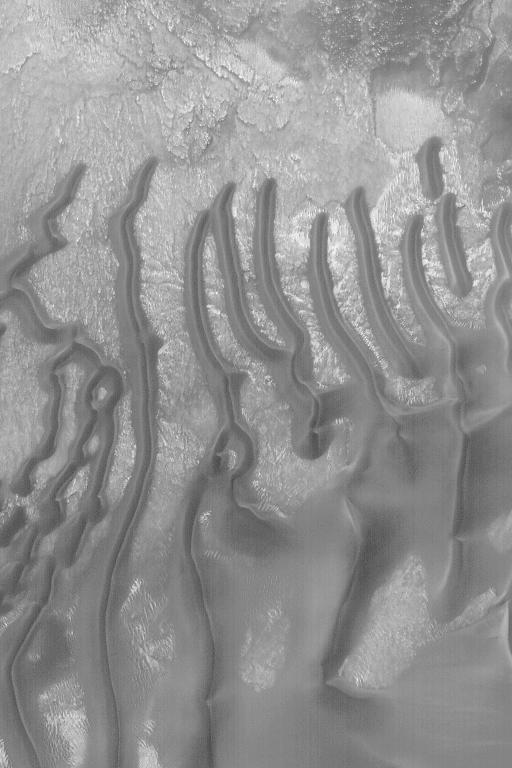 Sand Dunes in Noachis Terra