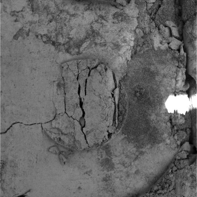 NASA image: Moessbauer Nose Print