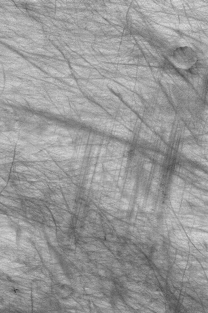 Wind vs. Dust Devil Streaks