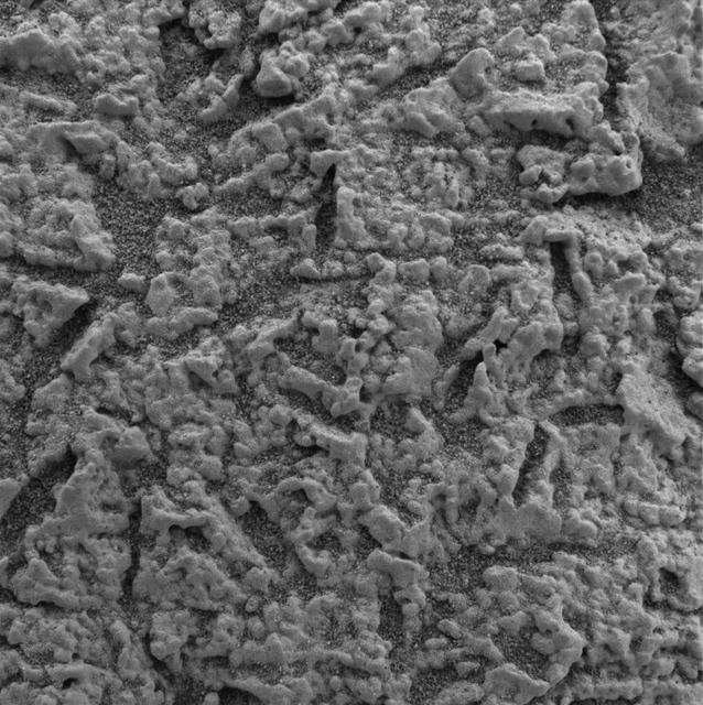 Focus on El Capitan-3