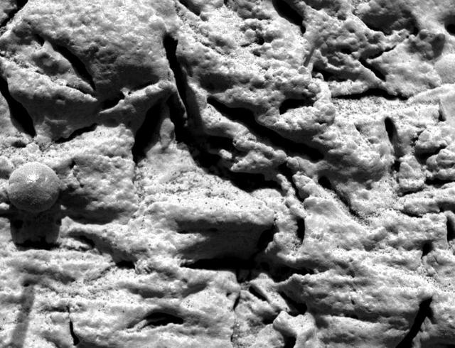 Blueberry Layers Indicate Watery Origins