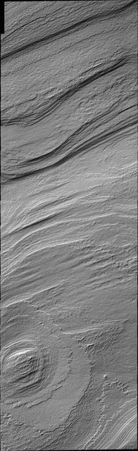 South Polar Cap