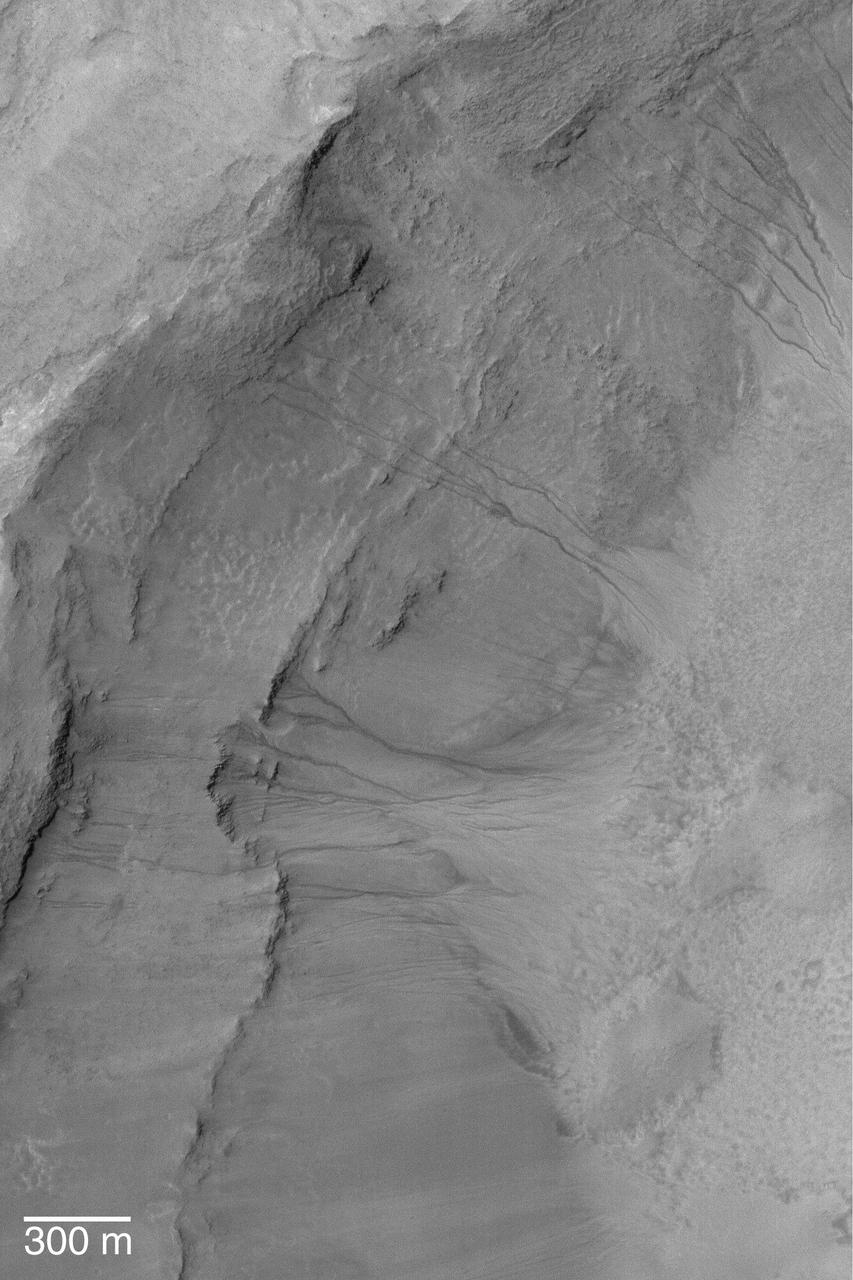 Mid-Latitude Gullies