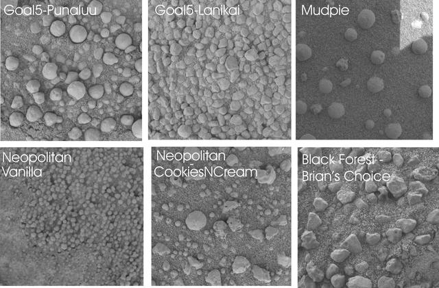 NASA image: No Two Soil Patches Are Alike