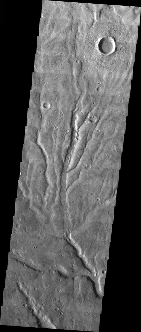 Multiple Channels in Warrego Valles