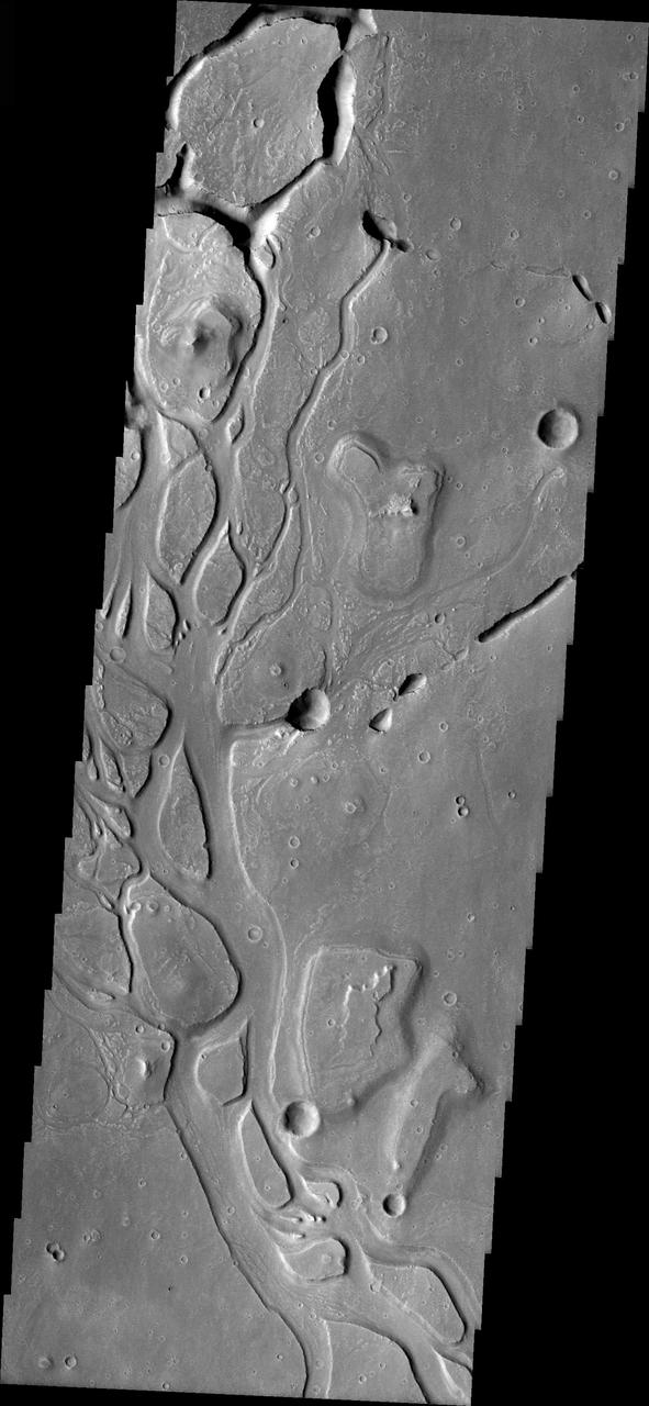 Channels in Elysium Planitia