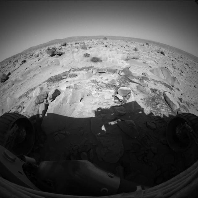 NASA image: Spirit Has Flower Power