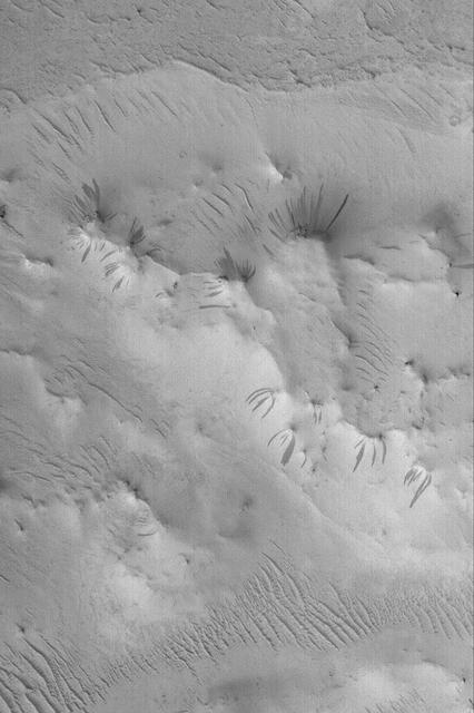 Dark Slope Streaks