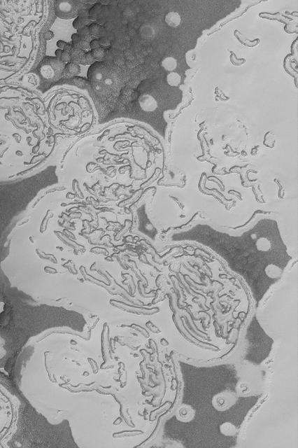 NASA image: Carbon Dioxide Landforms