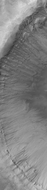 Gullies in Crater Wall