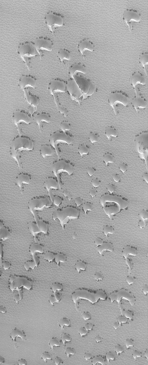 Springtime Dunes, 2004