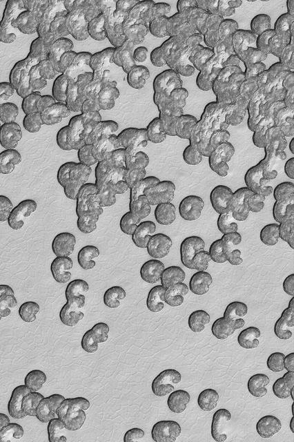 NASA image: Summer South Polar Cap