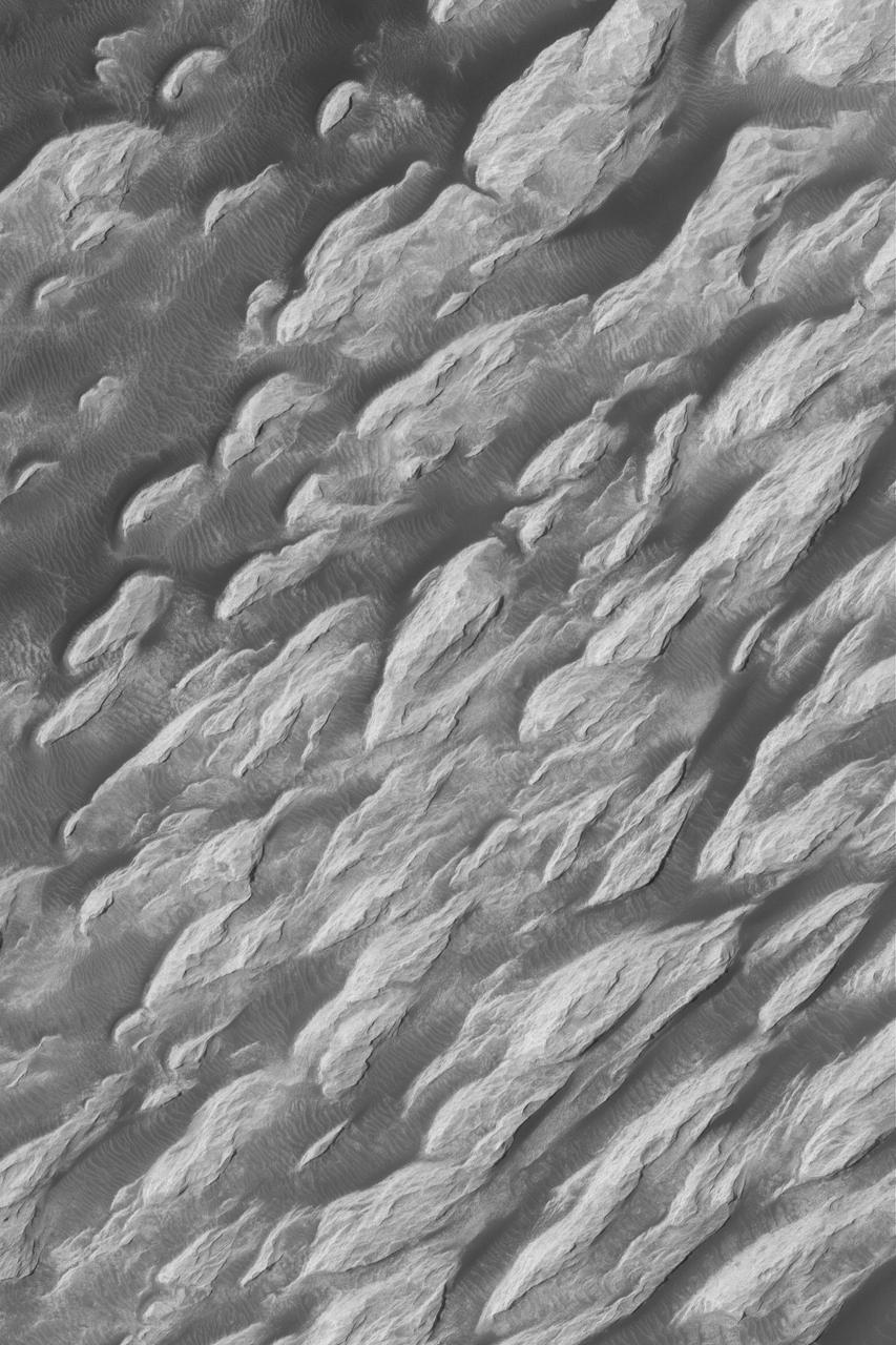 Pollack Crater White Rock