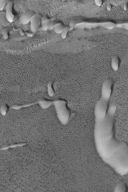 NASA image: Sand Dunes with Frost