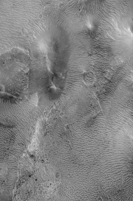 Large Ripples in Cerberus