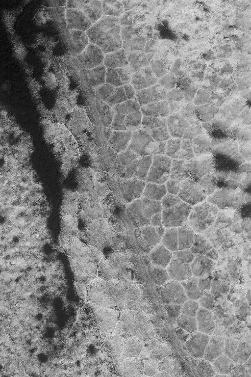 High Latitude Polygons