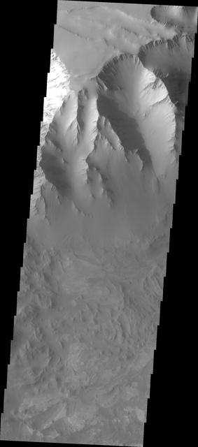 NASA image: Old Landslide In Ius Chasma