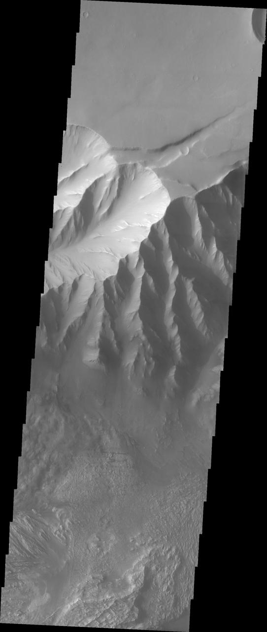 Candor Chasma Rim