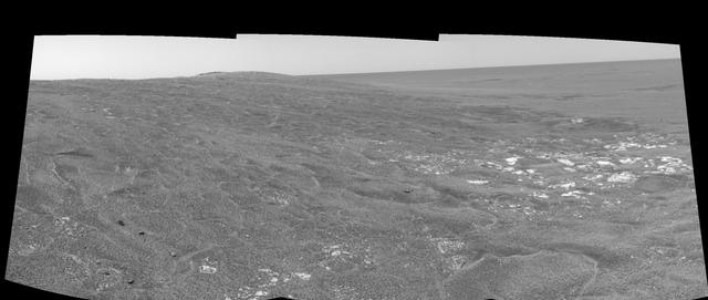 Opportunity View on Sol 109 left eye