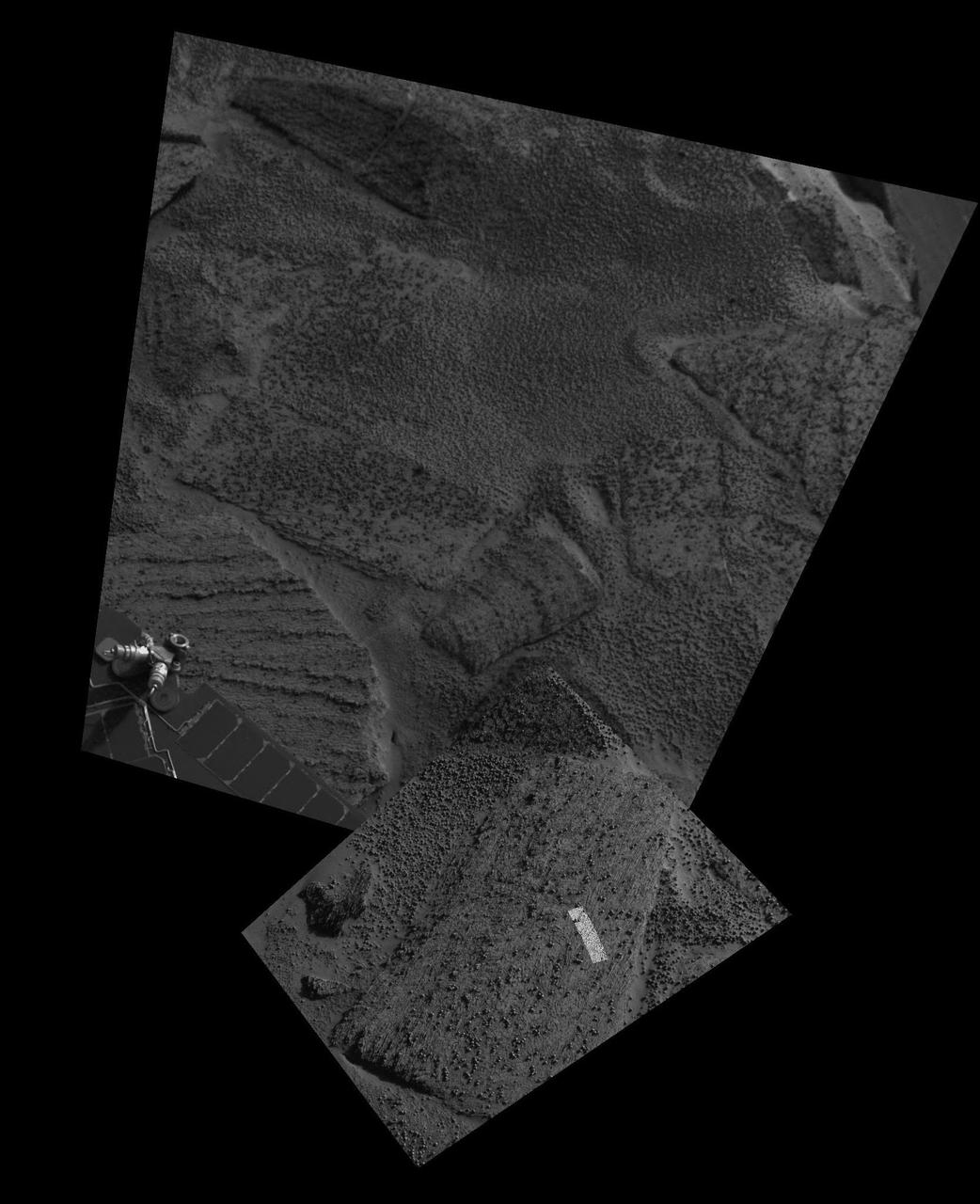 Up Close and Personal