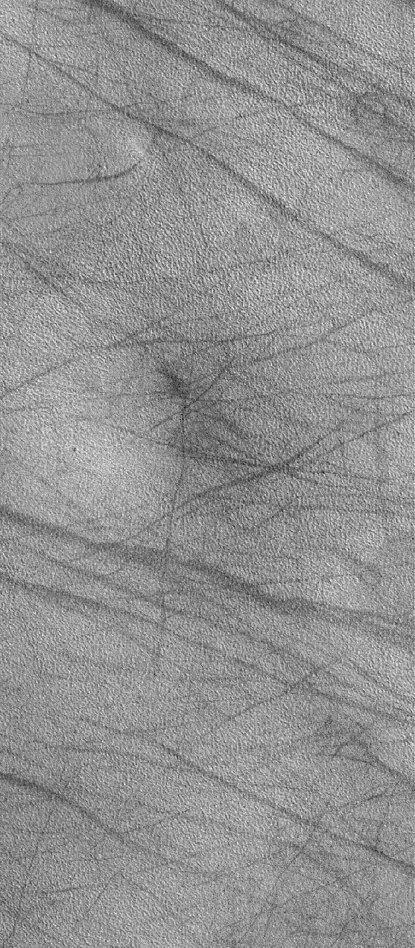 Northern Plains Scene