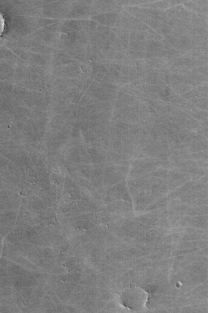 Bright Dust Devil Tracks