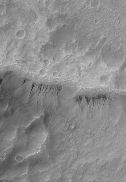 NASA image: Martian Gullies