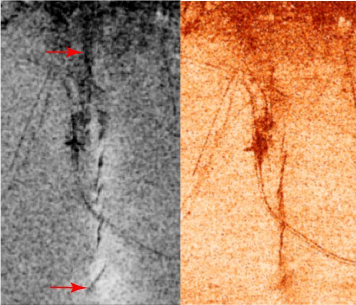 A magnitude 6.5 earthquake devastated the small city of Bam in southeast Iran on December 26, 2003. The two images from ESA Envisat show similar measures of the radar interferometric correlation in grayscale on the left and in false colors on the right.