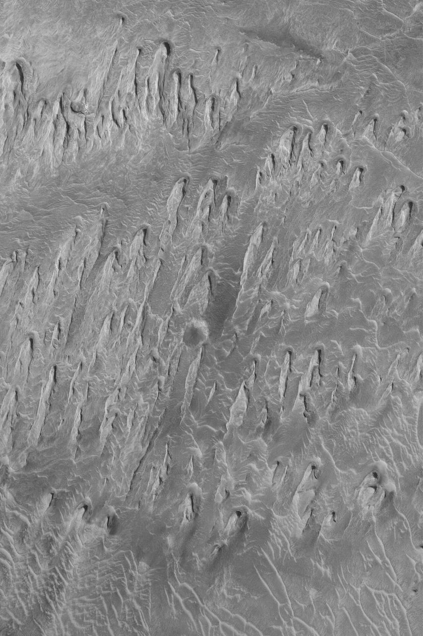 Wind Erosion in Tithonium