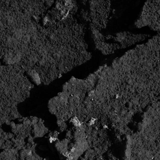 String of Pearls Up-Close