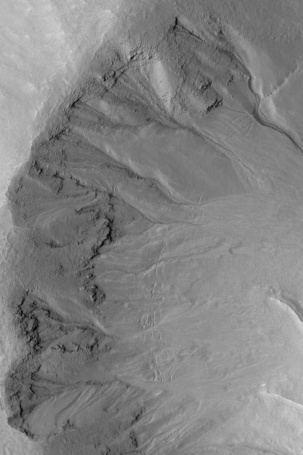 Martian Gullies