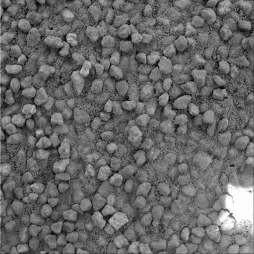 Angular Grains of Sand Hint at Short Transport Distance