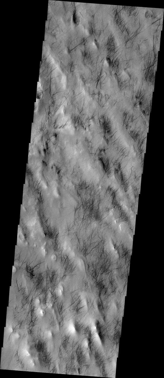 Southern Dust Devils