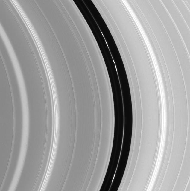 An intriguing knotted ringlet within the Encke Gap is the main attraction in this image captured by NASA Cassini spacecraft.