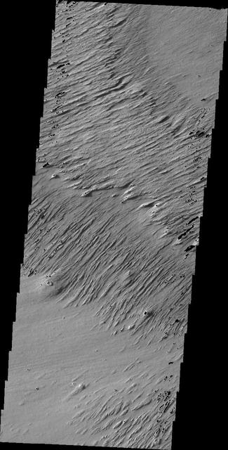 NASA image: Ejecta Yardangs