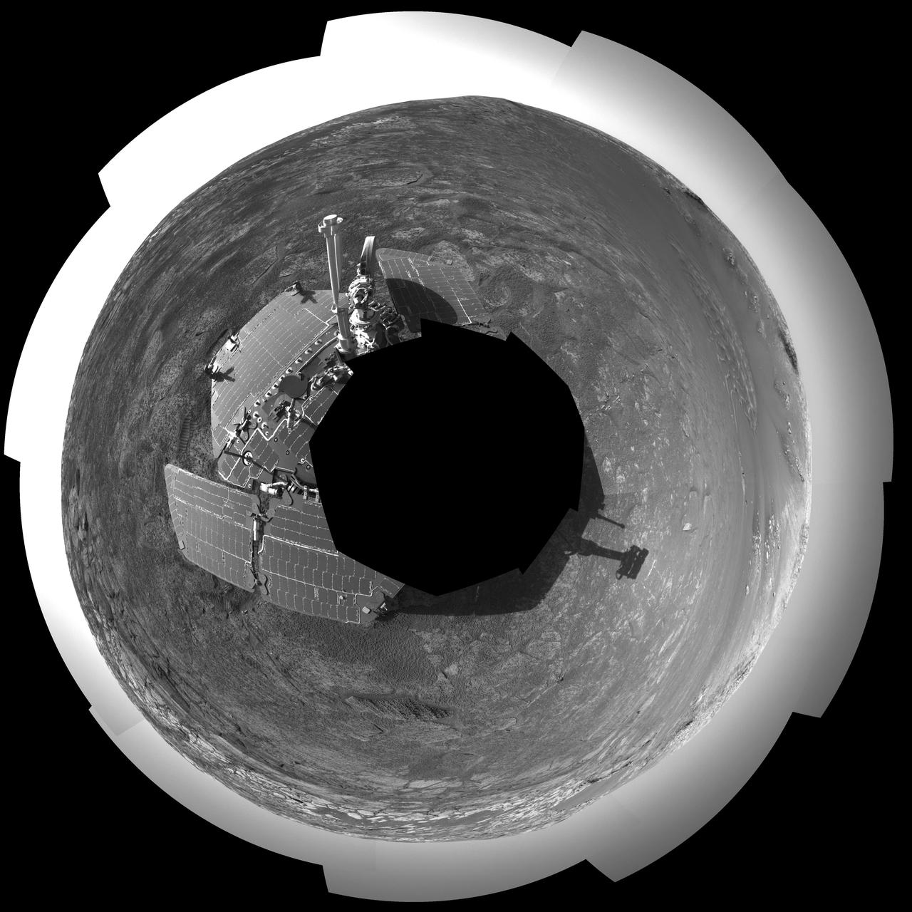 Endurance All Around Polar